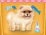 Play Free Pomeranian Puppy Day Care